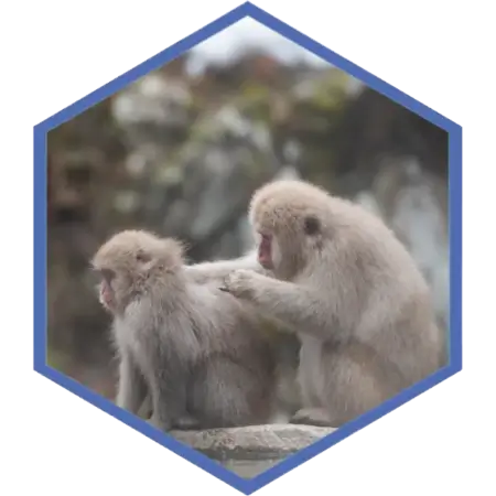 thumbnail of one monkey helping another by grooming